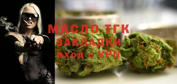 spice Богородицк