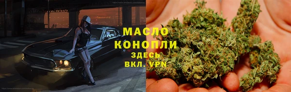 spice Богородицк