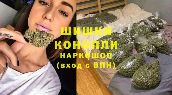 spice Богородицк