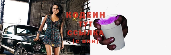 ГАЛЛЮЦИНОГЕННЫЕ ГРИБЫ Богданович