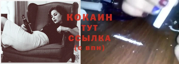ГАЛЛЮЦИНОГЕННЫЕ ГРИБЫ Богданович