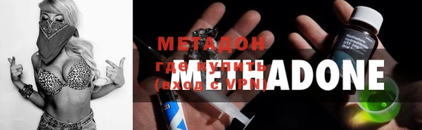 ГАЛЛЮЦИНОГЕННЫЕ ГРИБЫ Богданович
