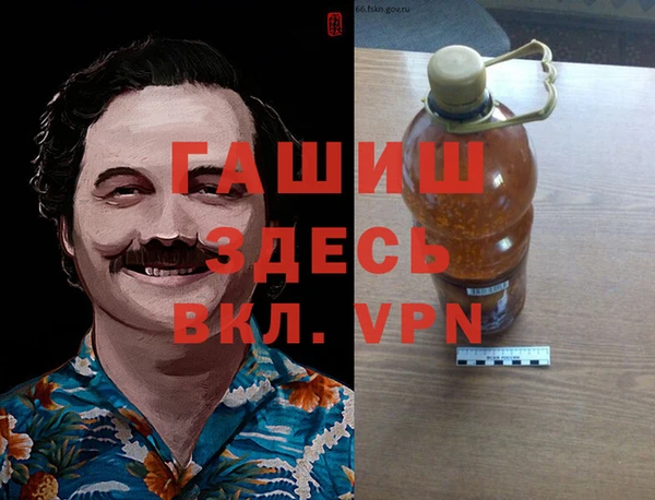 ГАЛЛЮЦИНОГЕННЫЕ ГРИБЫ Богданович