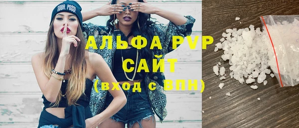 ГАЛЛЮЦИНОГЕННЫЕ ГРИБЫ Богданович