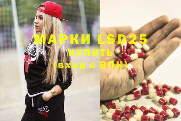 spice Богородицк