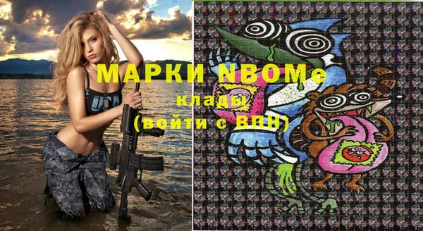 spice Богородицк