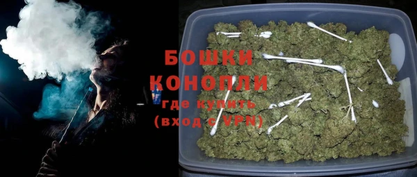 spice Богородицк