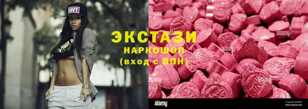 spice Богородицк