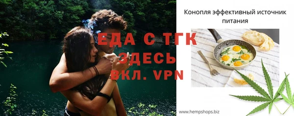 spice Богородицк