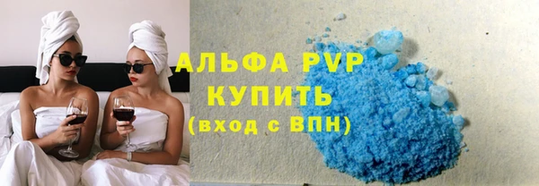 ГАЛЛЮЦИНОГЕННЫЕ ГРИБЫ Богданович