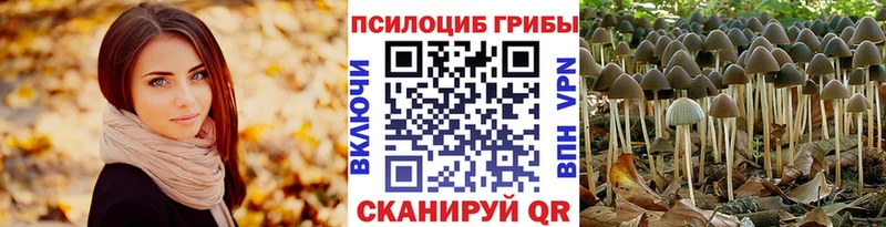 Галлюциногенные грибы Psilocybe сайты даркнета клад Короча